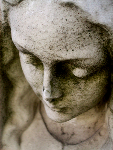 © photograph by Isaac Bloom