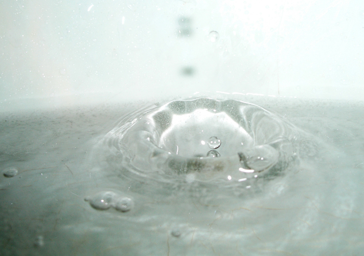 © photograph by Isaac Bloom