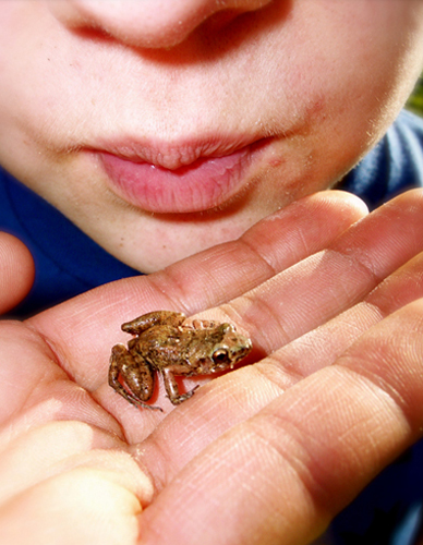 © photograph by Isaac Bloom