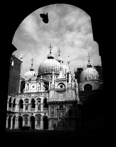 © photograph by Isaac Bloom