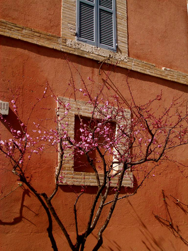 © photograph by Isaac Bloom