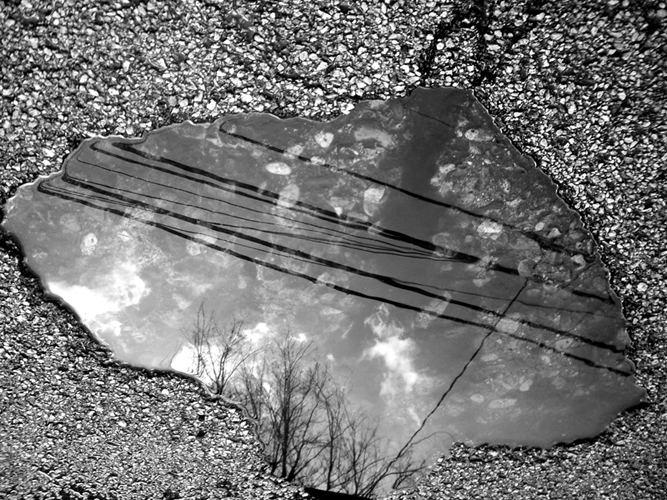 © photograph by Isaac Bloom