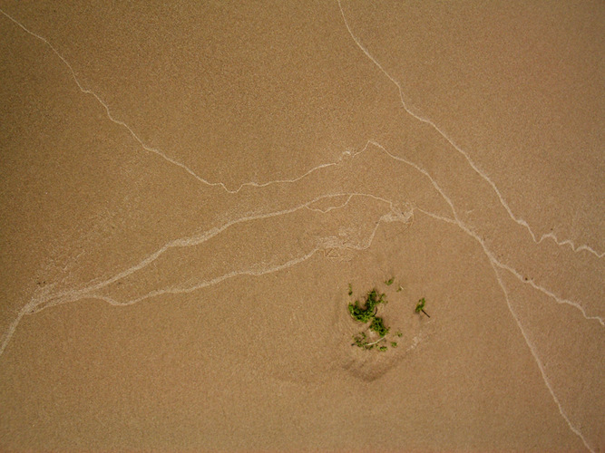 © photograph by Isaac Bloom