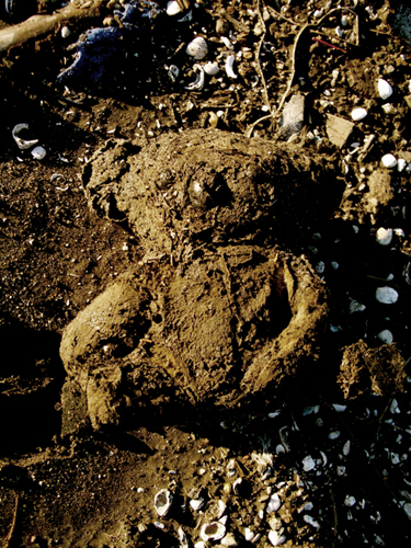 © photograph by Isaac Bloom