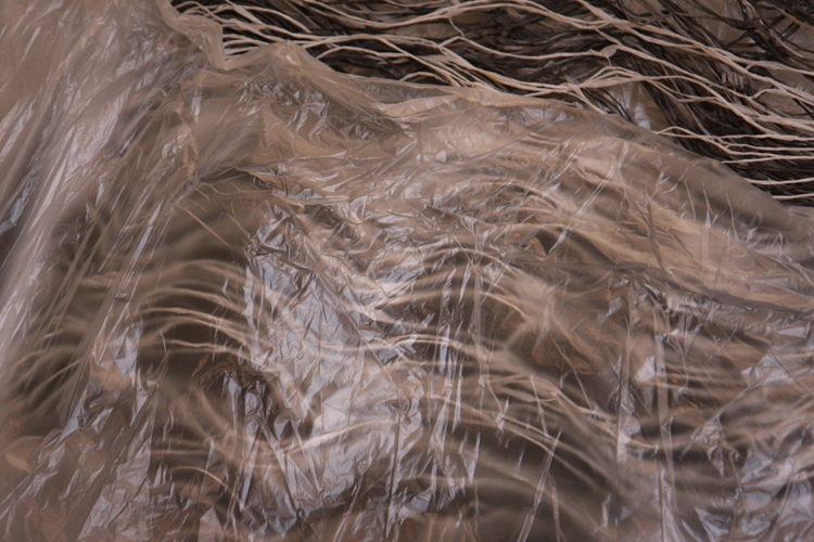 © photograph by Isaac Bloom