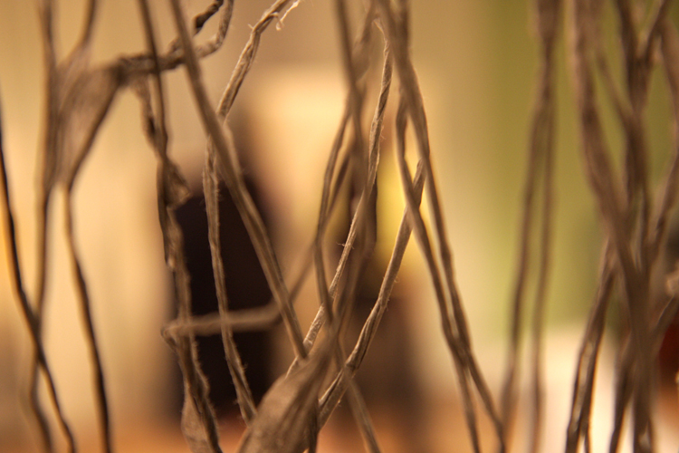 © photograph by Isaac Bloom