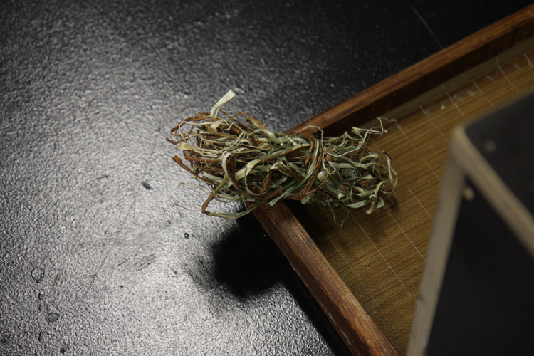 © photograph by Isaac Bloom