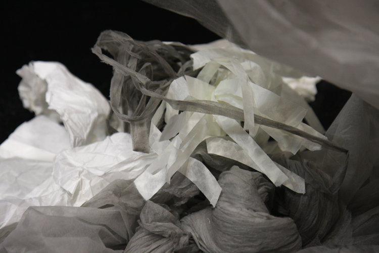 © photograph by Isaac Bloom