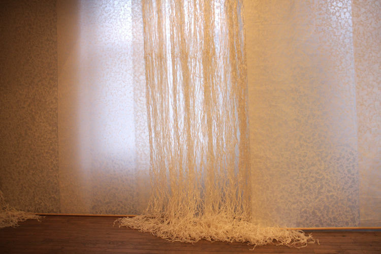 © photograph by Isaac Bloom