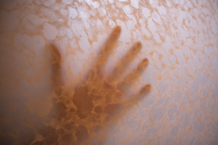 © photograph by Isaac Bloom