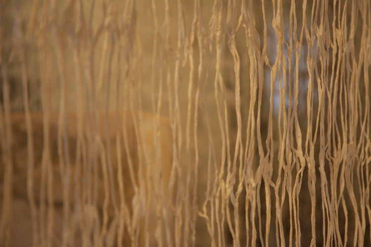 © photograph by Isaac Bloom