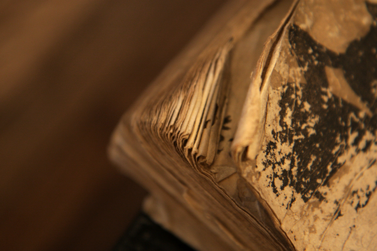 © photograph by Isaac Bloom