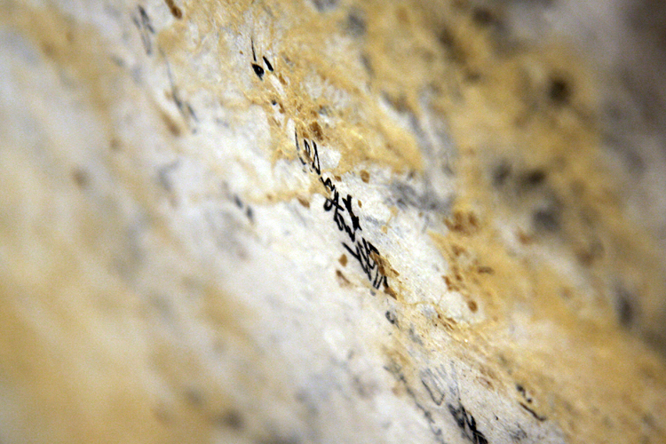 © photograph by Isaac Bloom