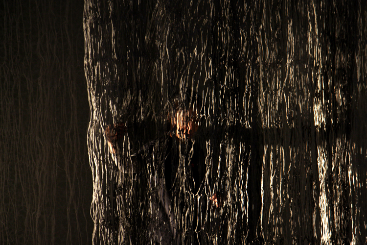 © photograph by Isaac Bloom