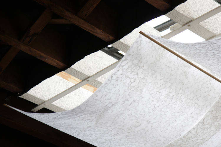 © photograph by Isaac Bloom